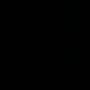 Meet your Posher, Lexie